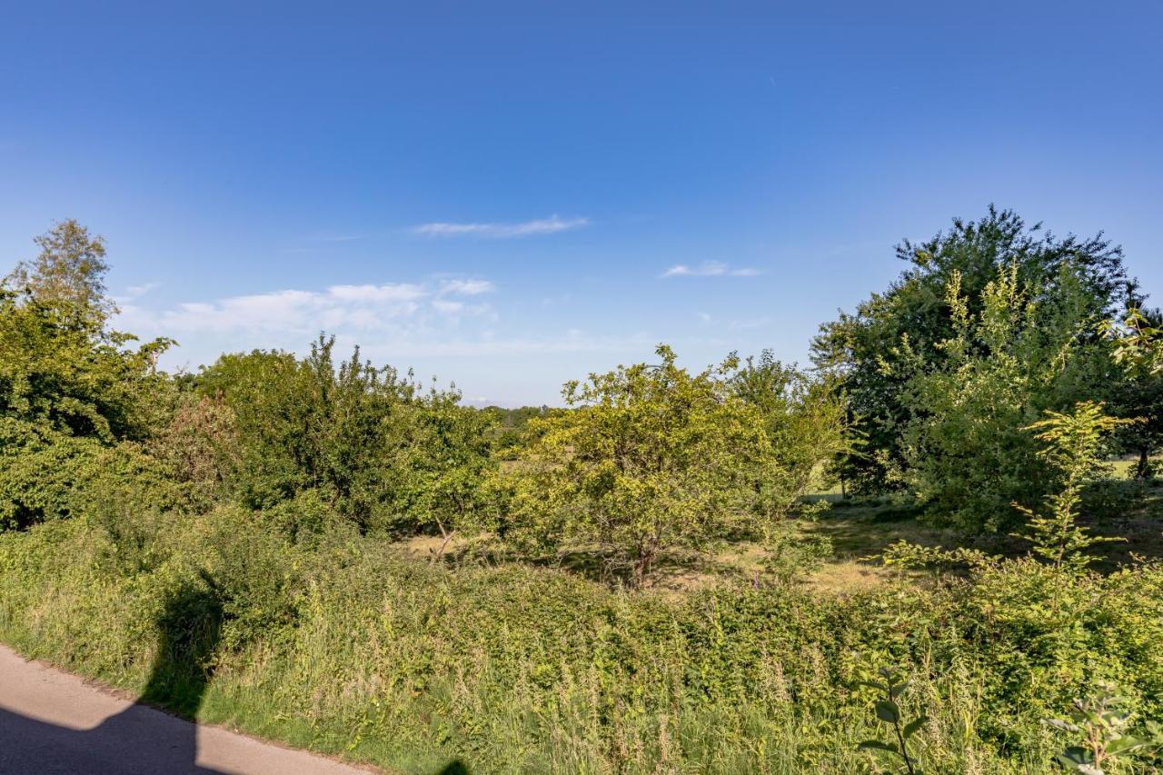 Danny Lodge - Country Cottage Near Brighton By Huluki Sussex Stays Hurstpierpoint Exterior photo